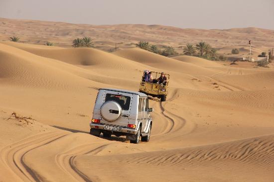 Mighty Dubai Desert