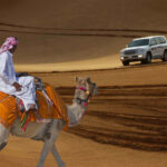 desert-safari-dubai-camel-with-land-cruiser